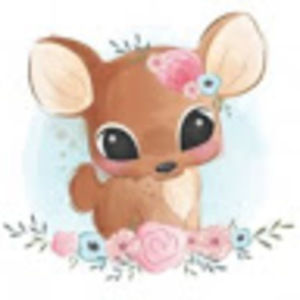 Meet your Posher, Lucy